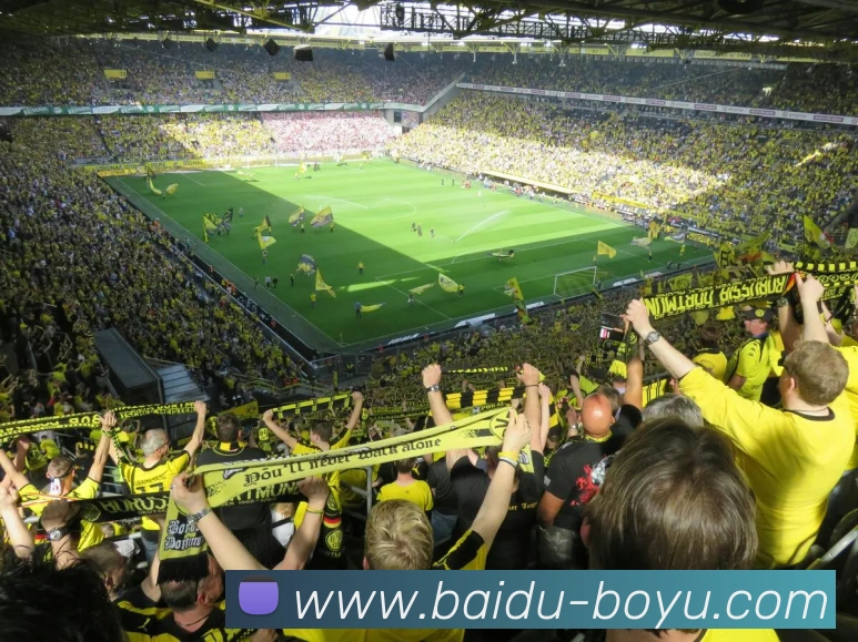 博鱼体育全站App